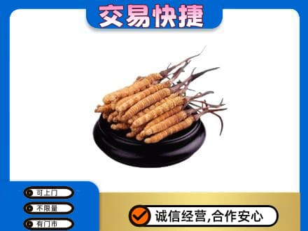 周口礼品回收散虫草.jpg